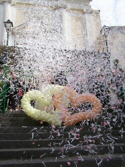 eff. speciale coriandoli confetti e petali di rosa